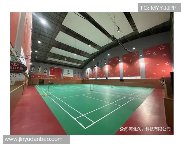 临湘体育运动地板品牌的优势与选择指南助您打造完美运动空间